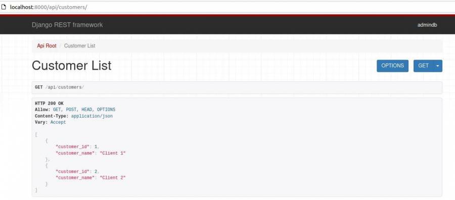 api_customers_options.jpg